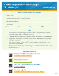 <center><b>FLYER: Bright Futures</b><br>Double-sided; 8.5x11<br>High School (BF-1)</br></center>